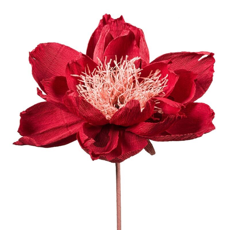 Flora Fantasia 1