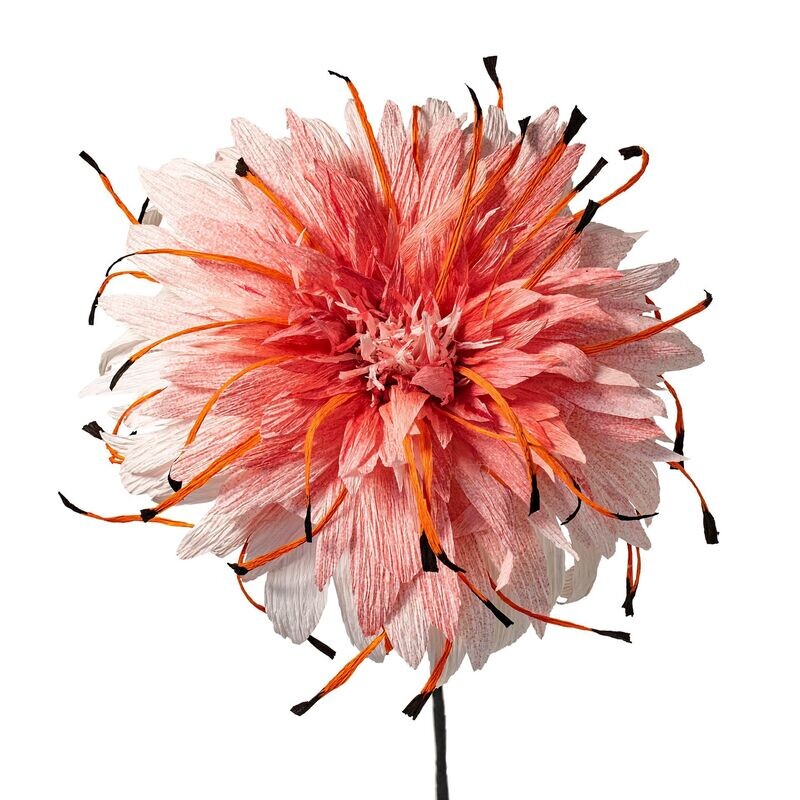 Flora Fantasia 8