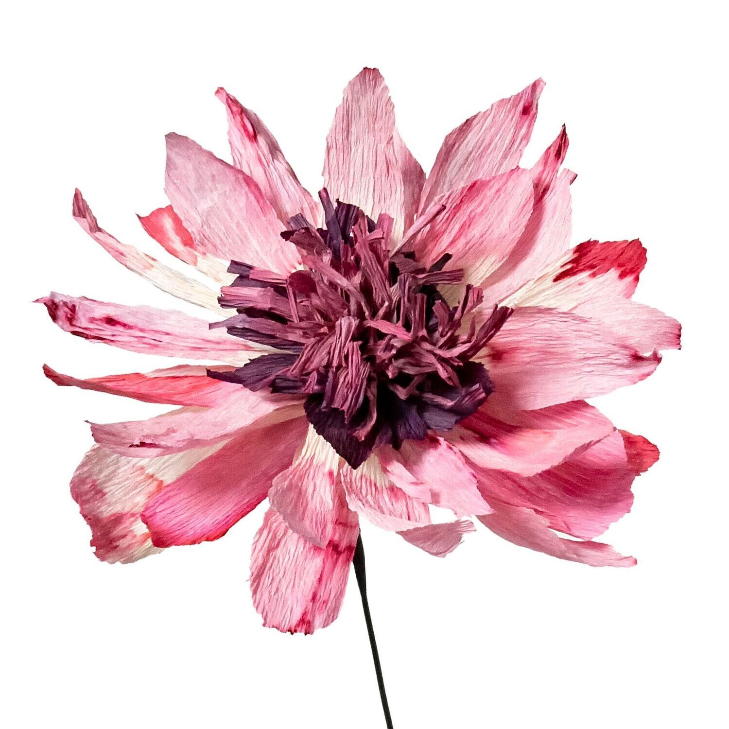 Flora Fantasia 7