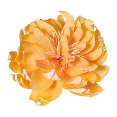 Haarspange – peach