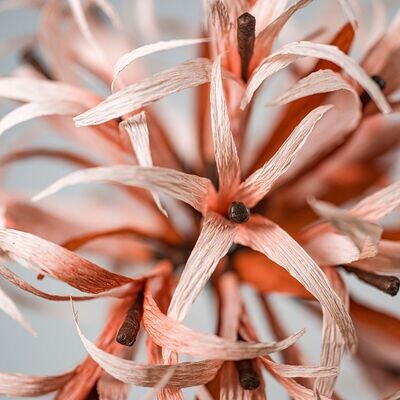 PAPIERBLUMEN