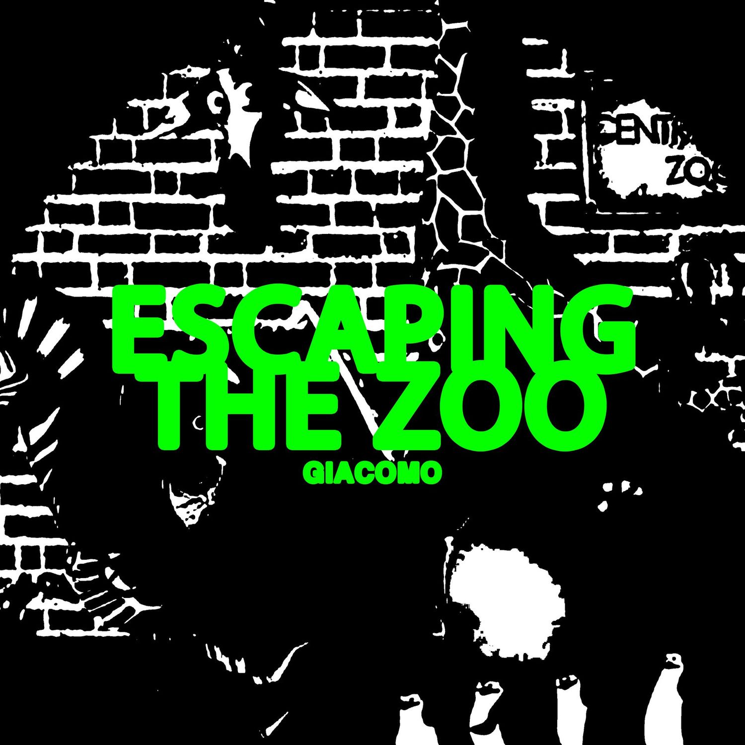 ESCAPING THE ZOO ESCAPING THE ZOO