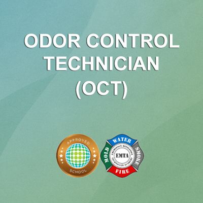 OCT | August 28, 2025 | Live-Stream