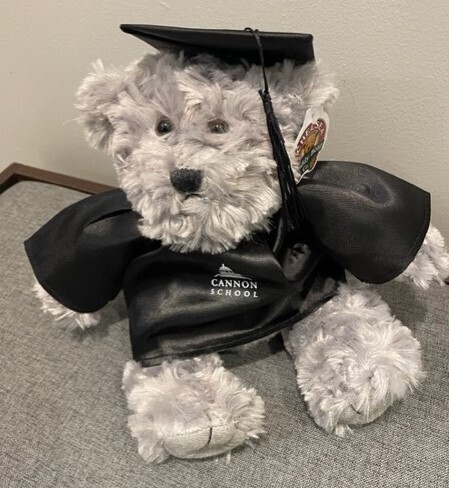 Cannon Graduation Bear