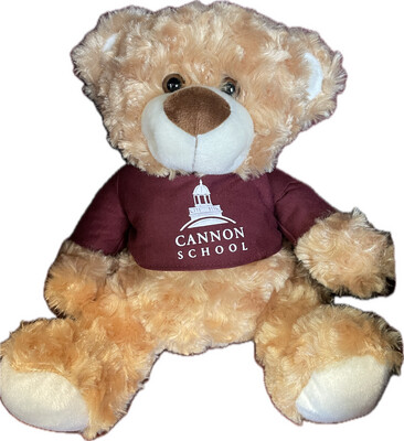 Cannon Teddy Bear