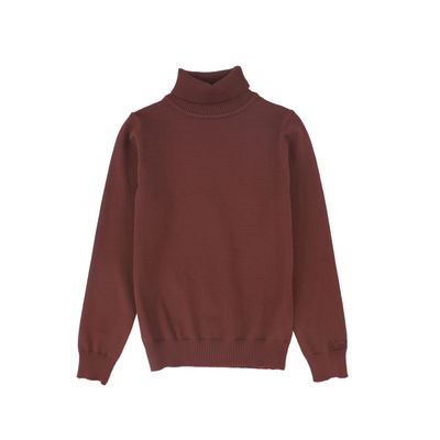 BACE BURGUNDY SOLID KNIT TURTLENECK AW26 29458
