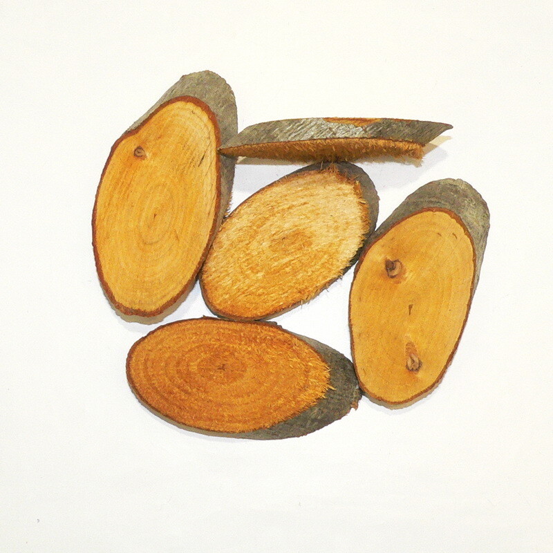 Alder pucks - oval Nr2.