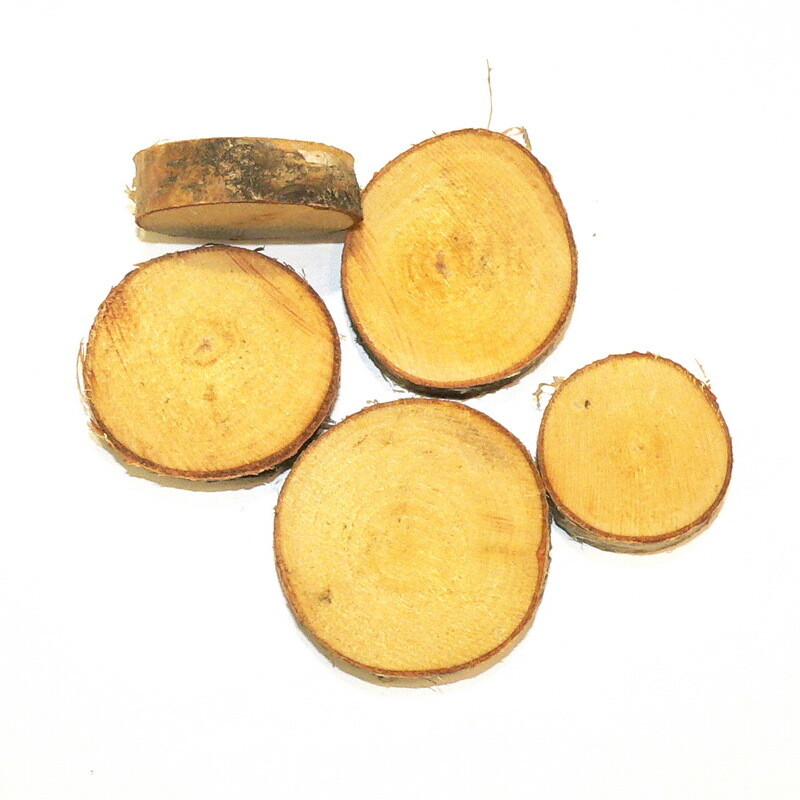 Birch pucks Nr2.