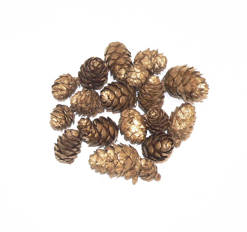 Pine cones Nr2.