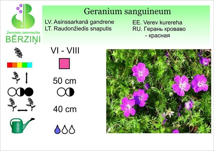 Geranium sanguineum, Gandrene