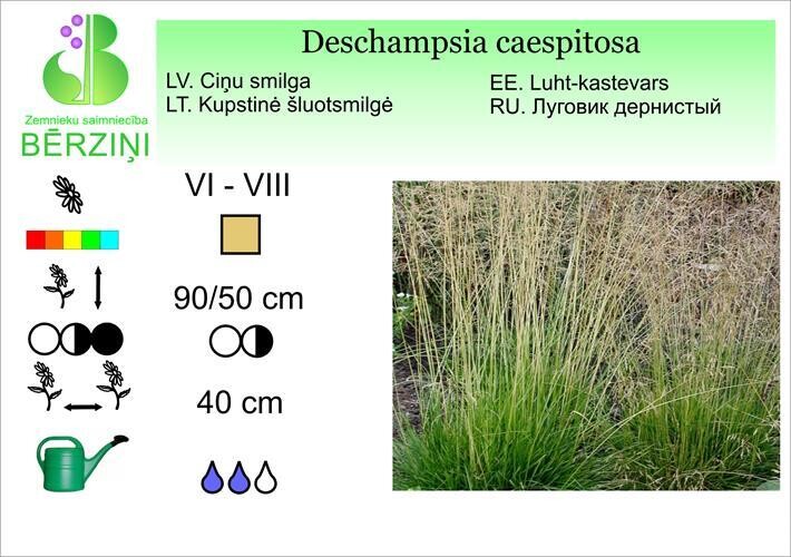 Deschampsia caespitosa, Smilga