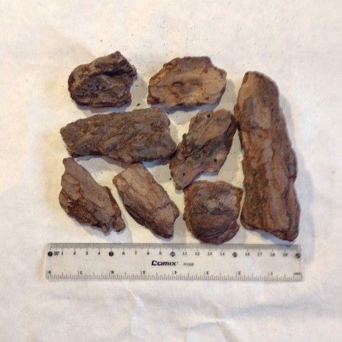 Walnuts Nr2.