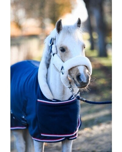Falabella / AMH / Minishetty Abschwitzdecke mit Fellkragen und Begurtung