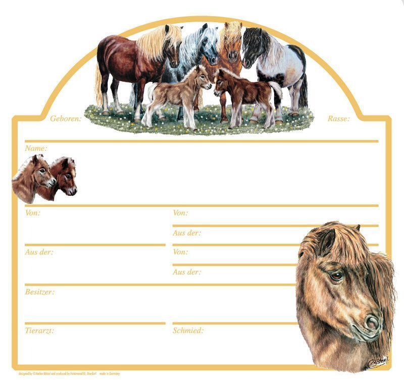 Boxenschild / Stallschild Shetty  Minishetty