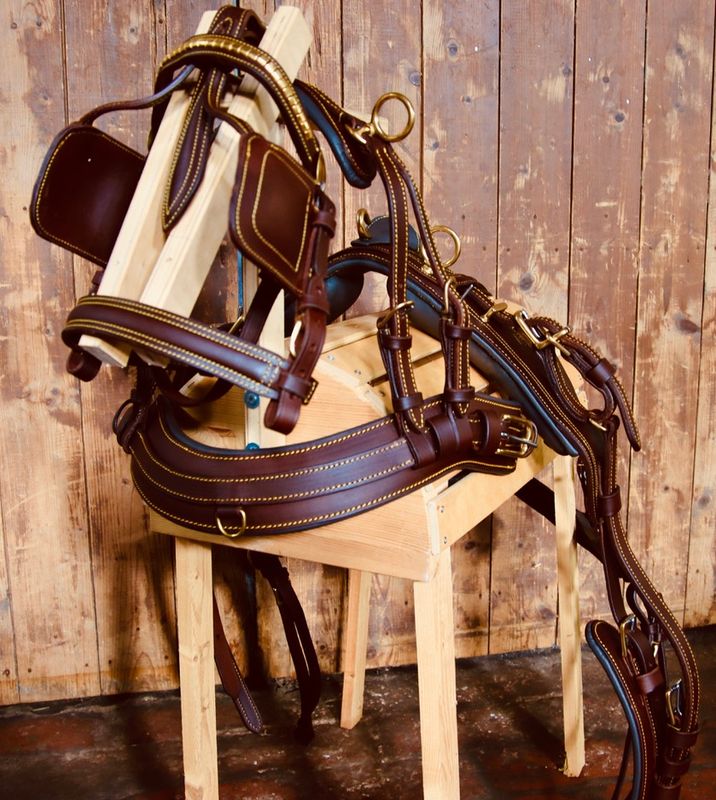 SH Zweispänner Fahrgeschirr Brustblattgeschirr Leder Royal Lux SH Zweispänner Fahrgeschirr Brustblattgeschirr Leder Royal Lux
