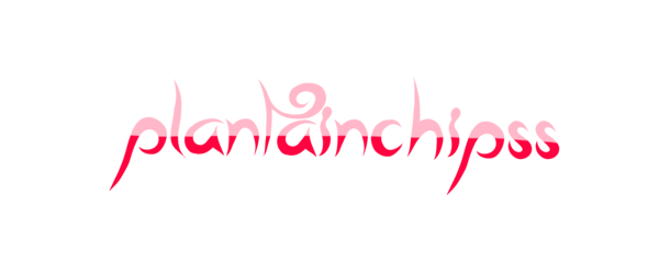 plantainchipss