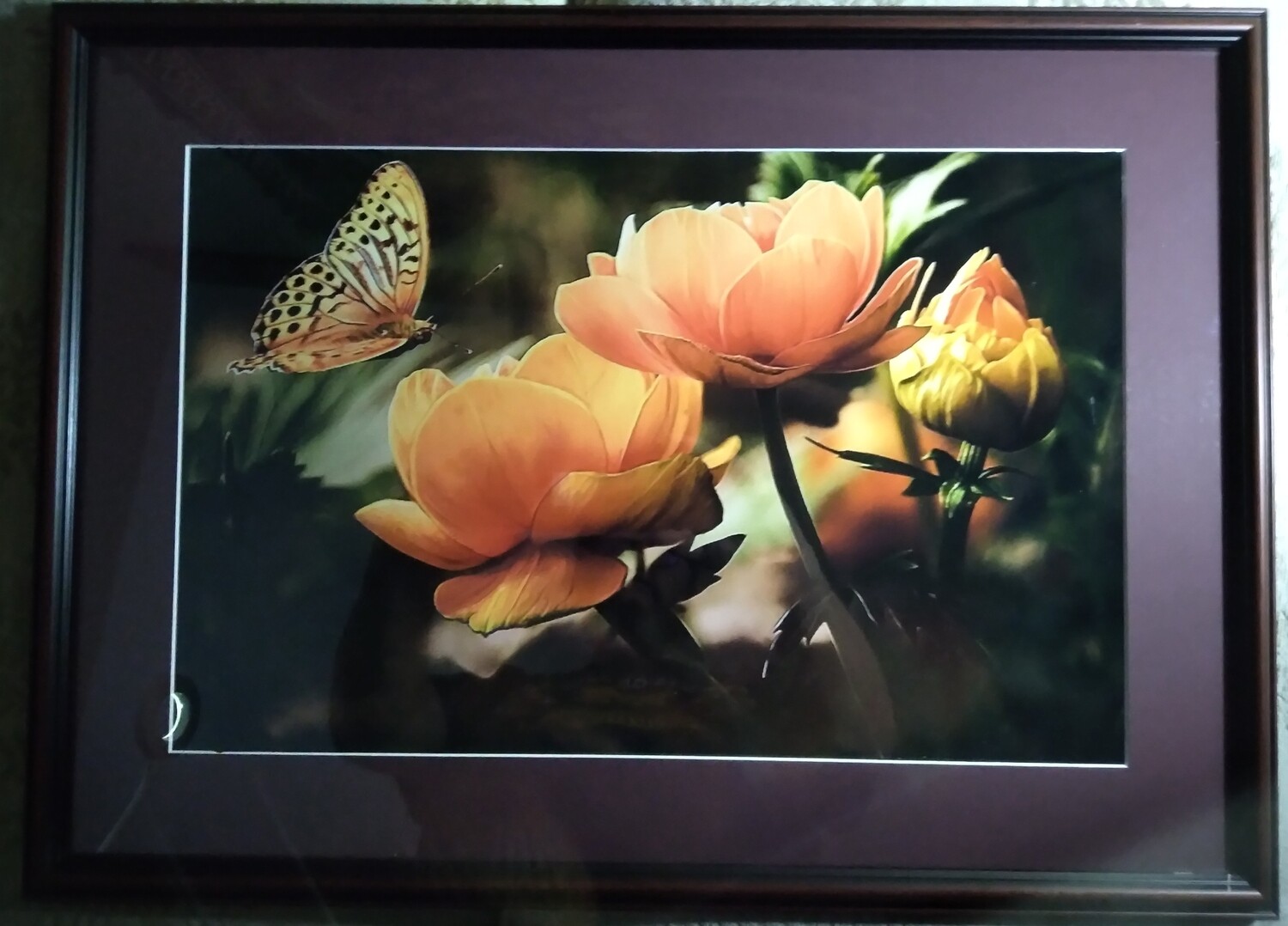Butterfly and Poppies
