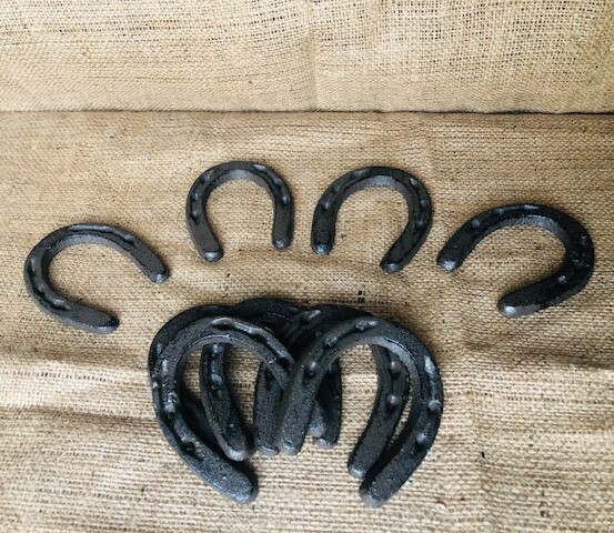 SMALL RUSTIC HORSESHOES 3