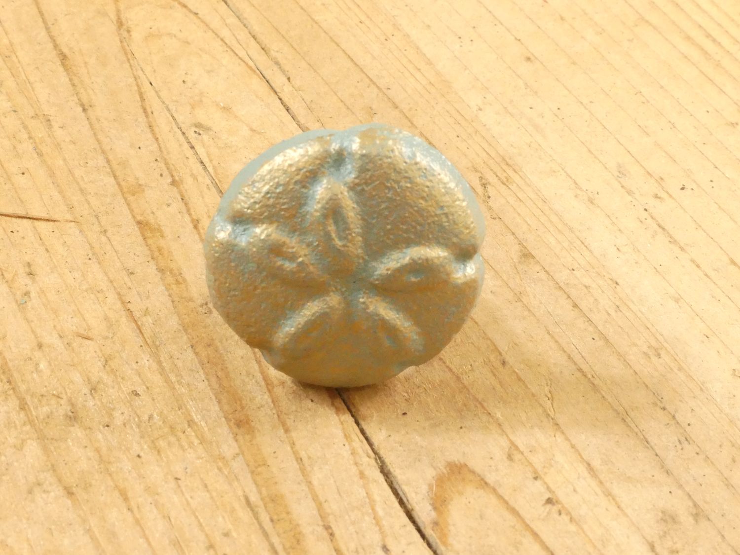 NAUTICAL SHELL/SAND DOLLAR  DRAWER KNOB PULL