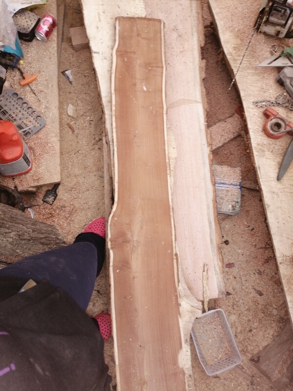 Black walnut Wood slab