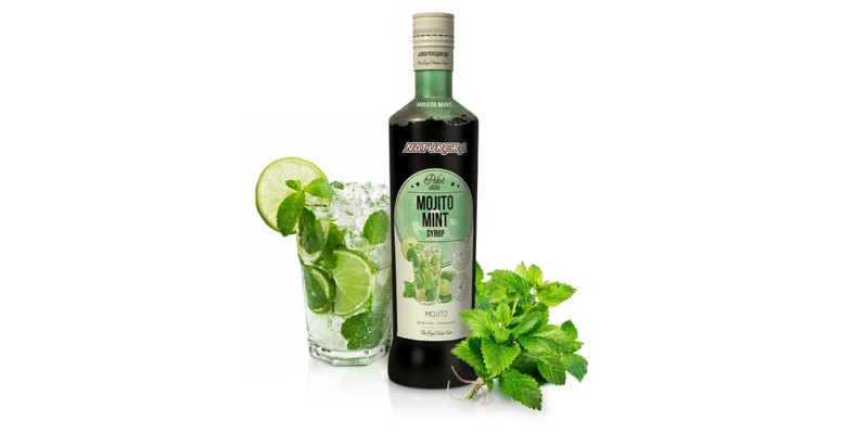 Naturera Polot 1882 Syrup Mojito-Mint