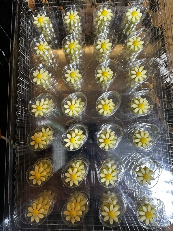 Dobla Choco Daisy
