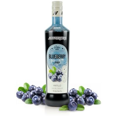 Naturera Polot 1882 Blueberry Syrup