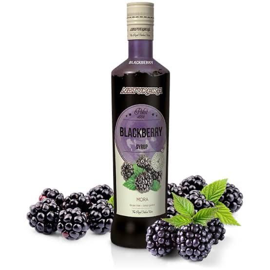 Naturera Polot 1882 Syrup Blackberry