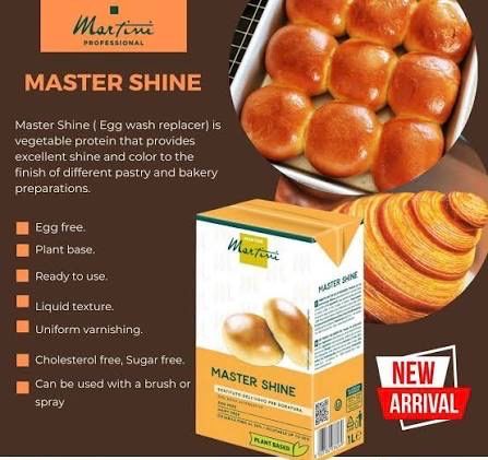 Master Shine 1 liter