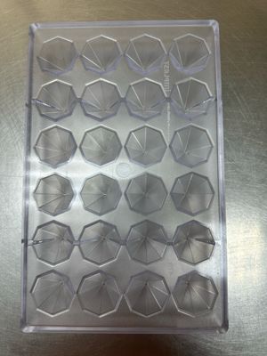 Polycarbonated Mould