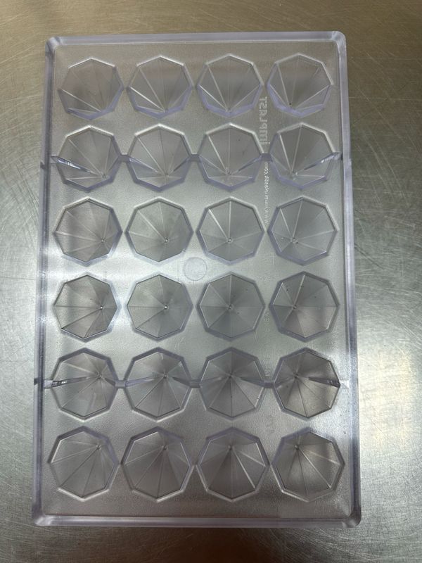 Polycarbonated Mould