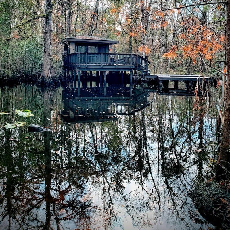 Julington Durbin Creek 16x20 Print