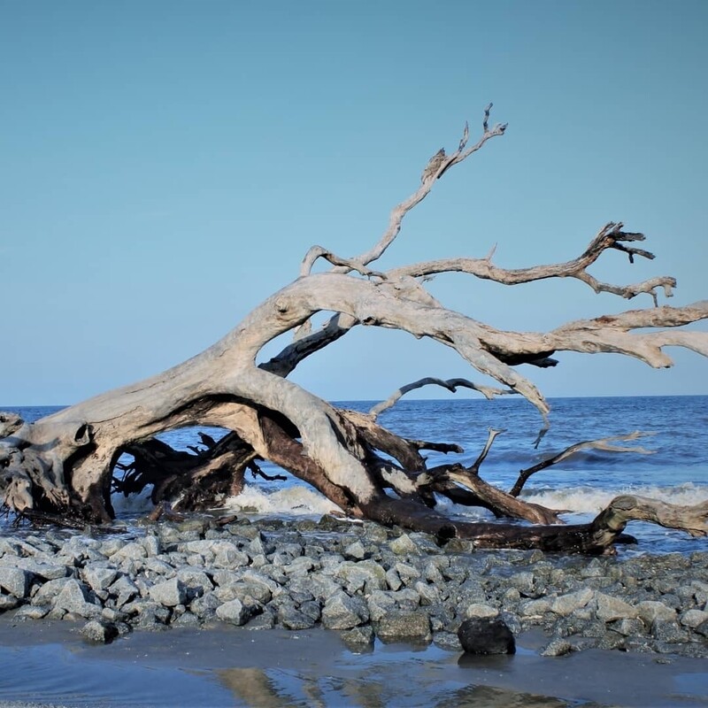 Jekyll Island 11x14 Print