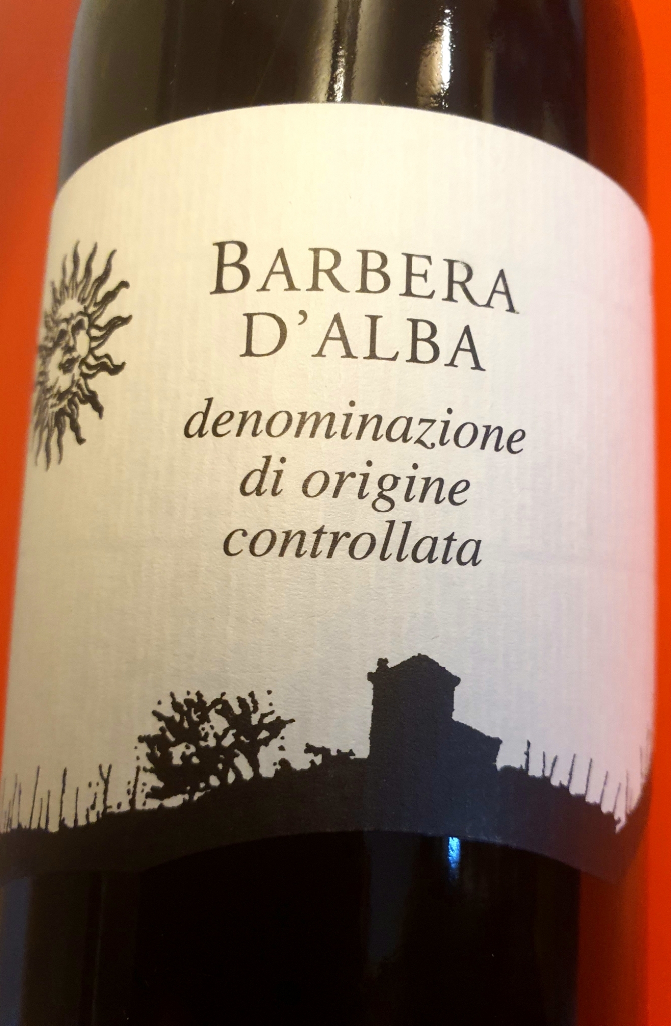 Barbera d'Alba Ridaroca 