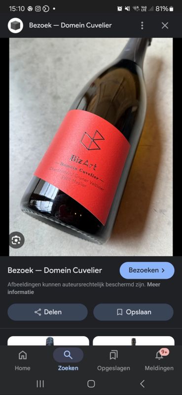 BizArt Cuvelier