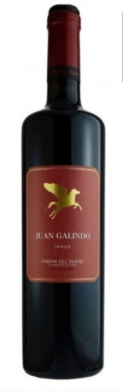Juan Galindo tinto Ribera