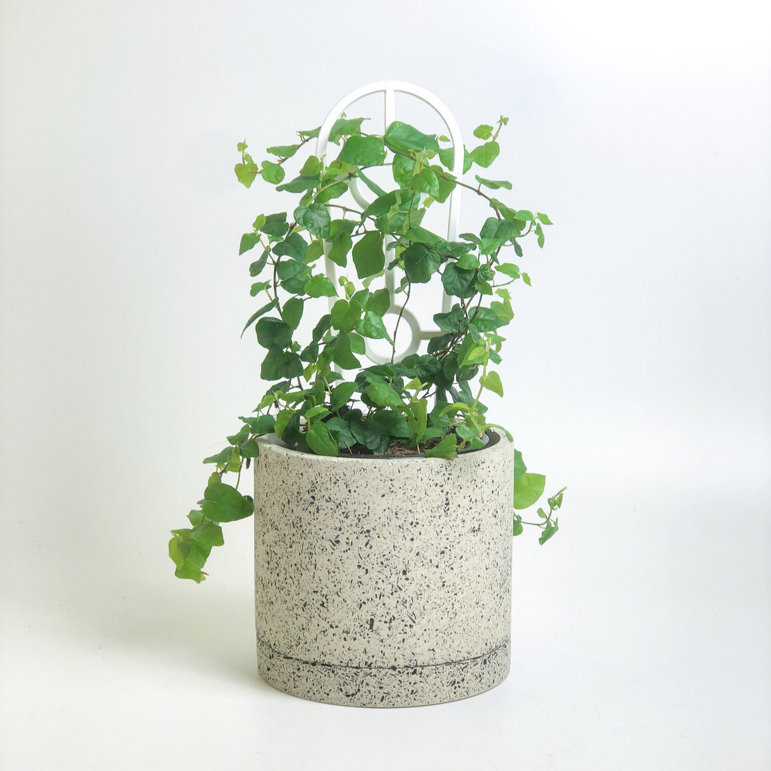 DAMU Cylinder Pot - White Charazzo