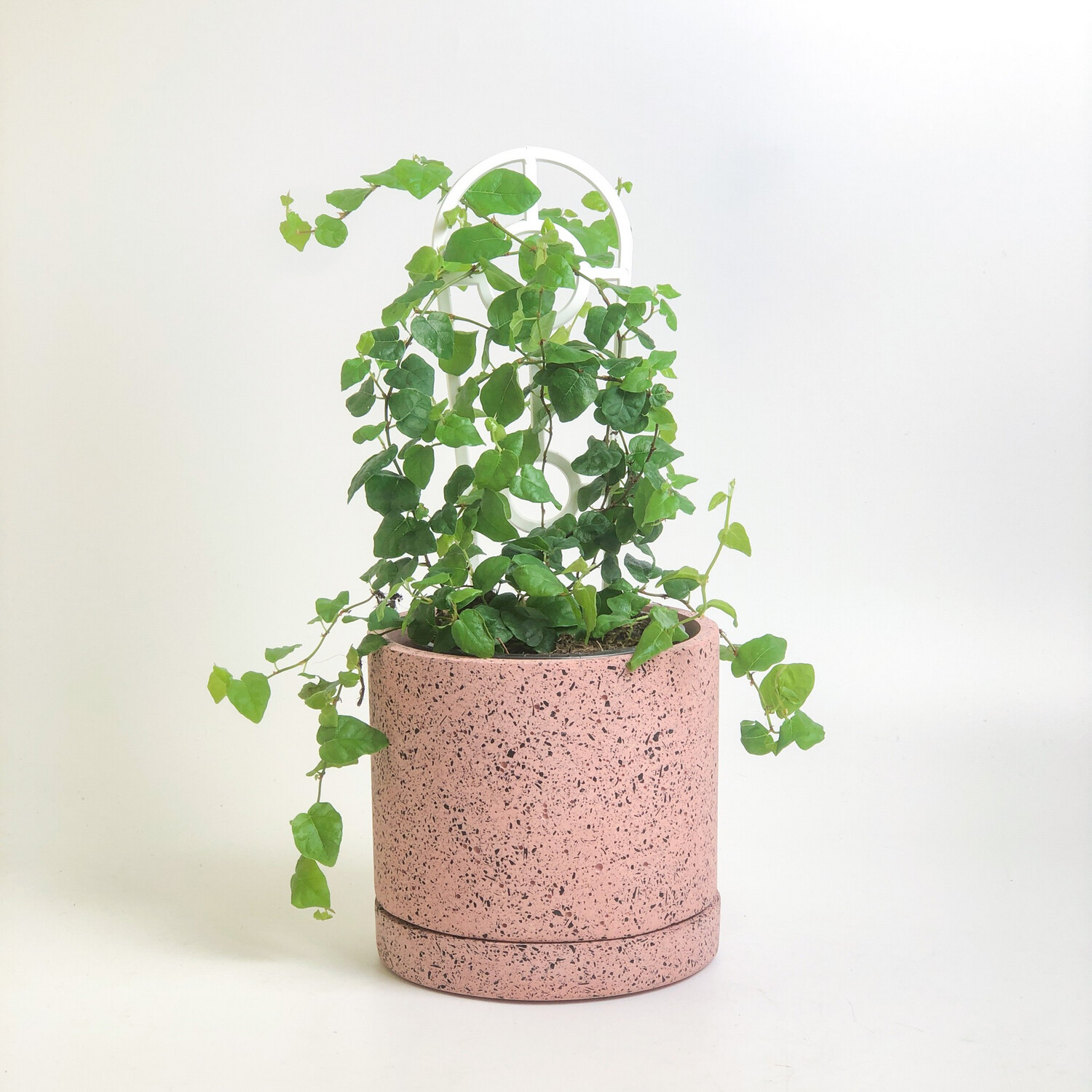 DAMU Cylinder Pot - Pink Charazzo