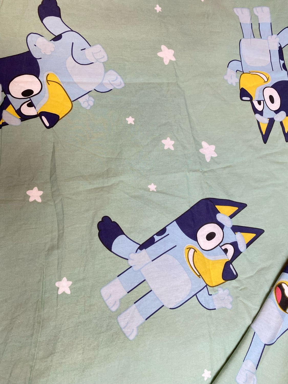 Bluey Sage Smock Dress