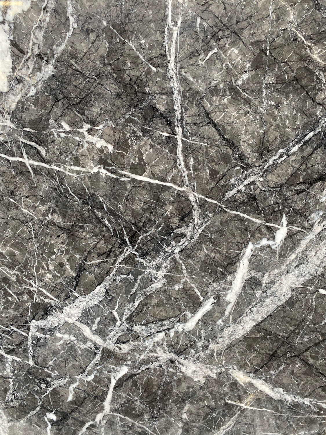 Grigio Carnico