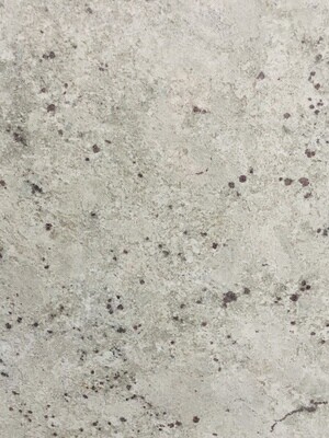 Colonial white