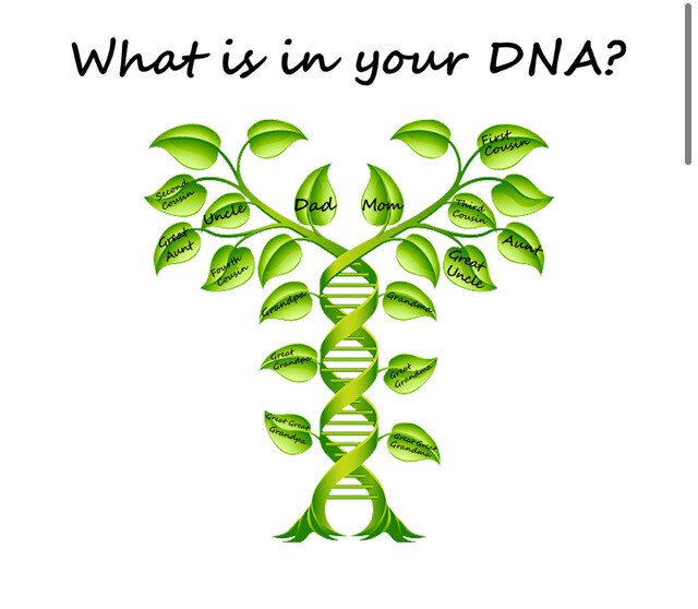 What’s In Your DNA?