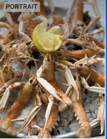 Langoustines 100gr