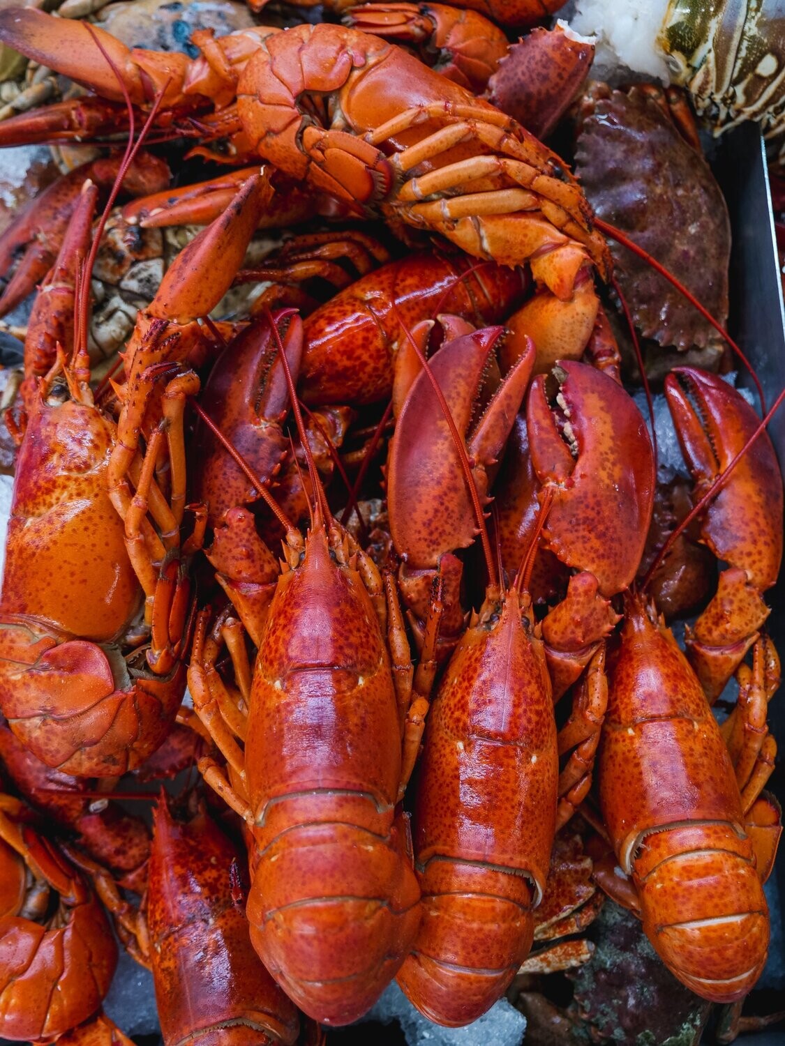 1/2 Homard canadien à la parisienne accompagné de mayonnaise et macédoine faite maison