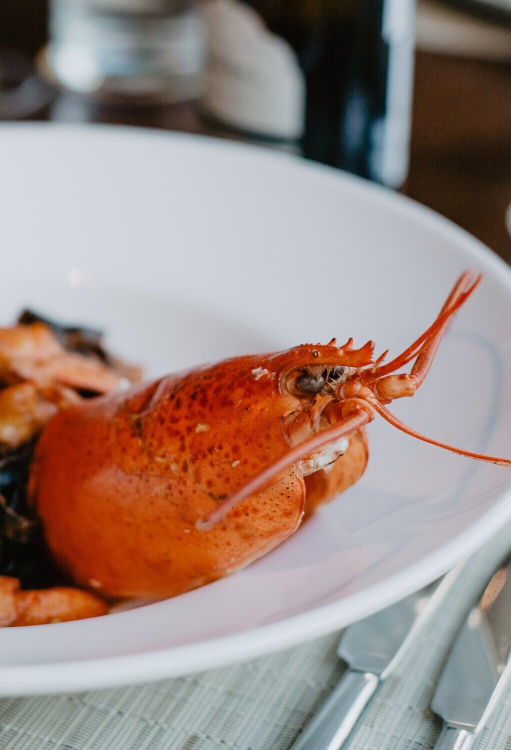 Conchiglioni au homard, jus de presse à l'armoricane
