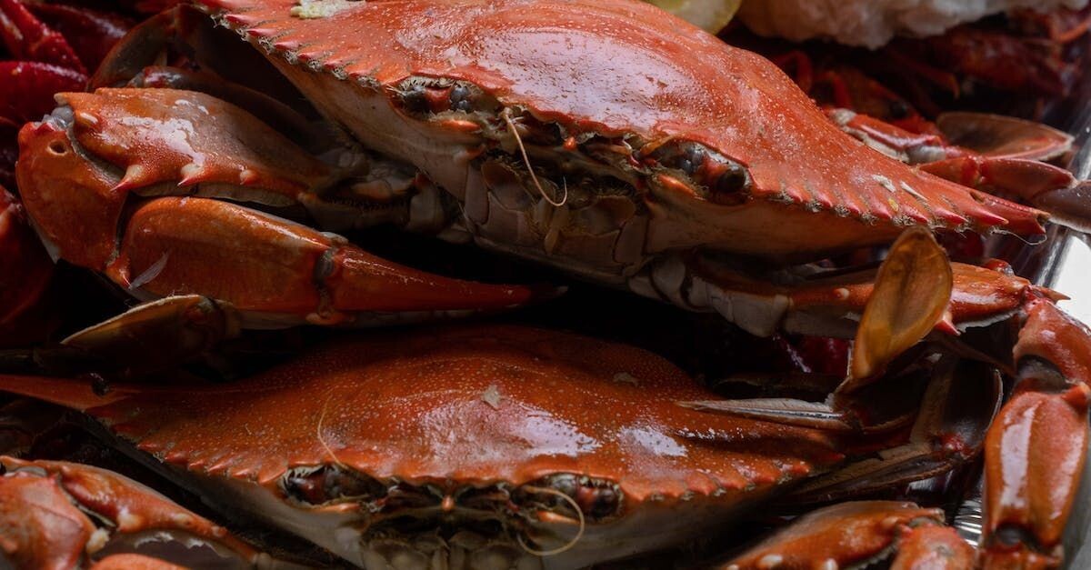pince de crabe (les 2)