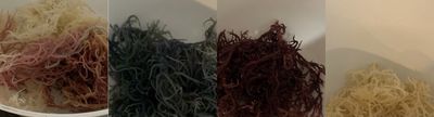 Raw Sea 🌊 Moss 1lb