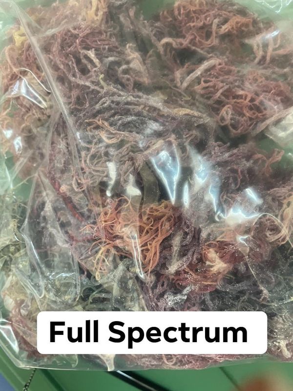 Raw Sea 🌊 Moss 1lb