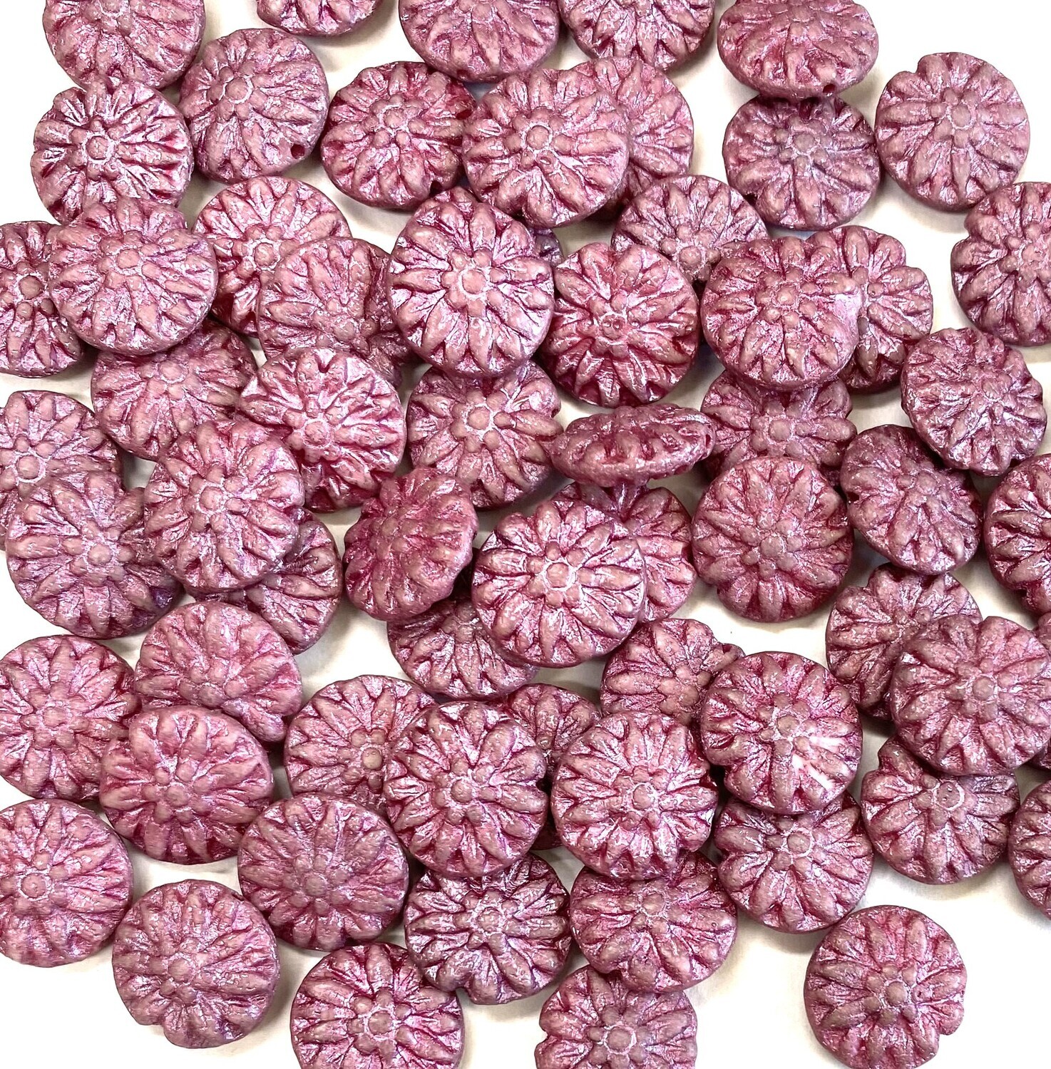 Pink Czech Dahlia Flowers