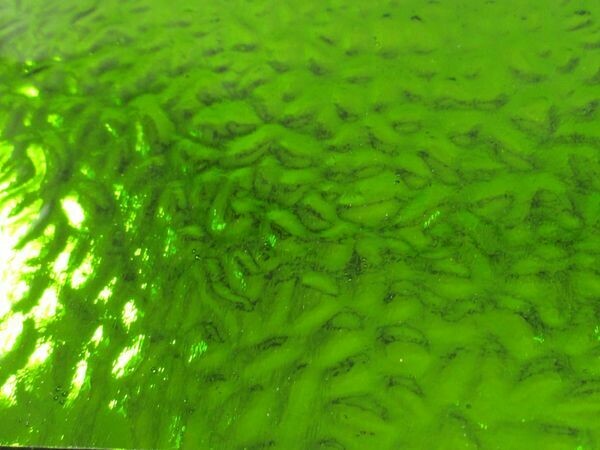 Spring Green Waves Mirror Sheet